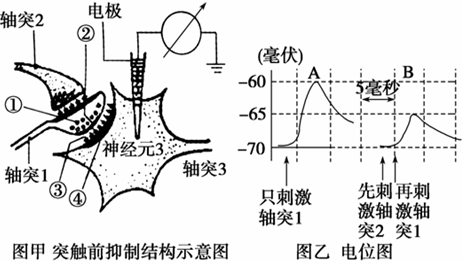 威尼斯wns·8885556