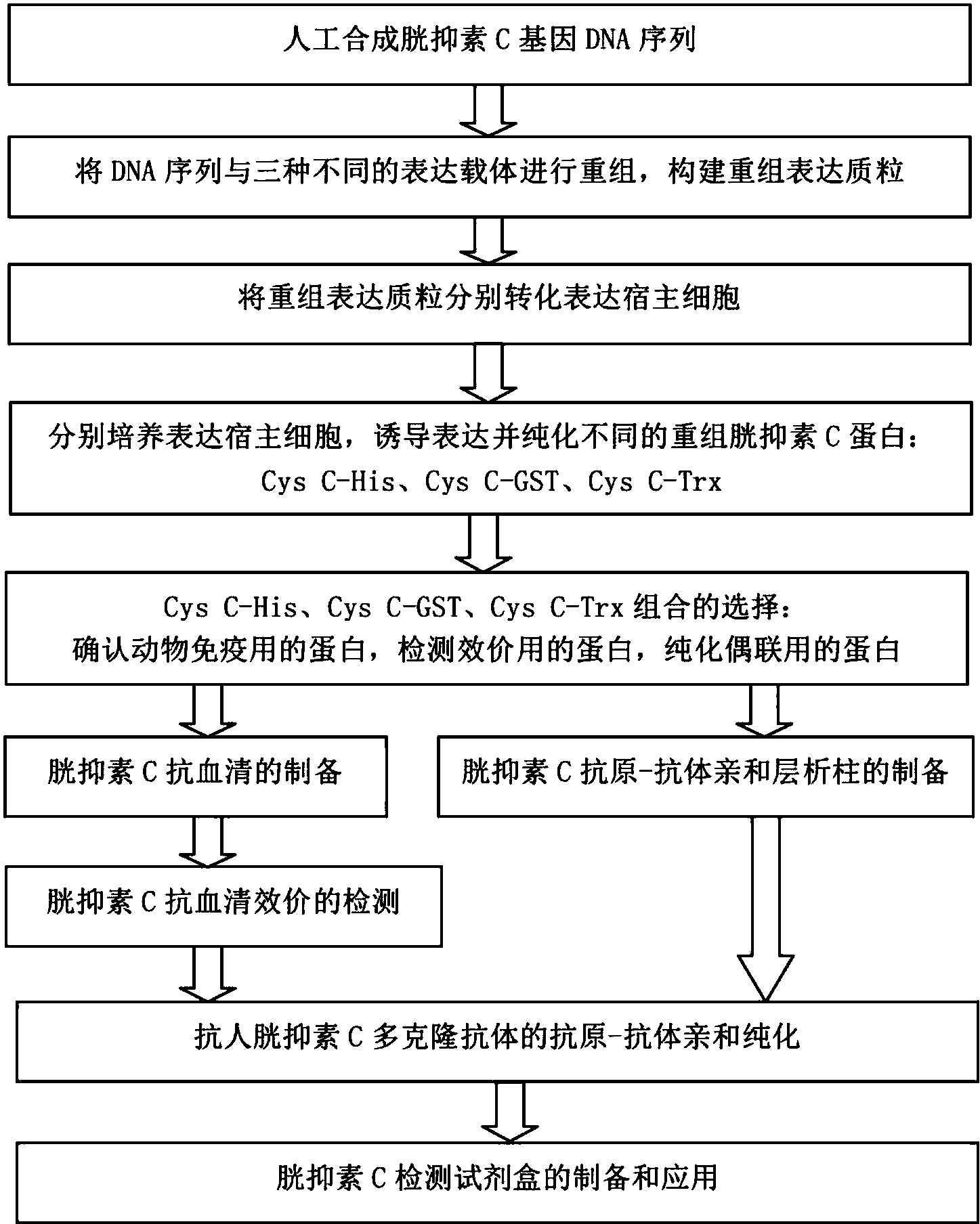 威尼斯wns·8885556